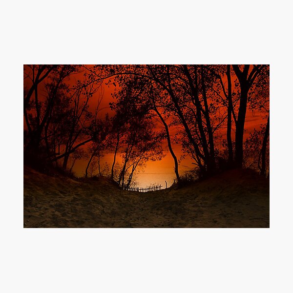 Item preview, Sunset trees at Sleeping Bear Dunes designed and sold by danieltrue.