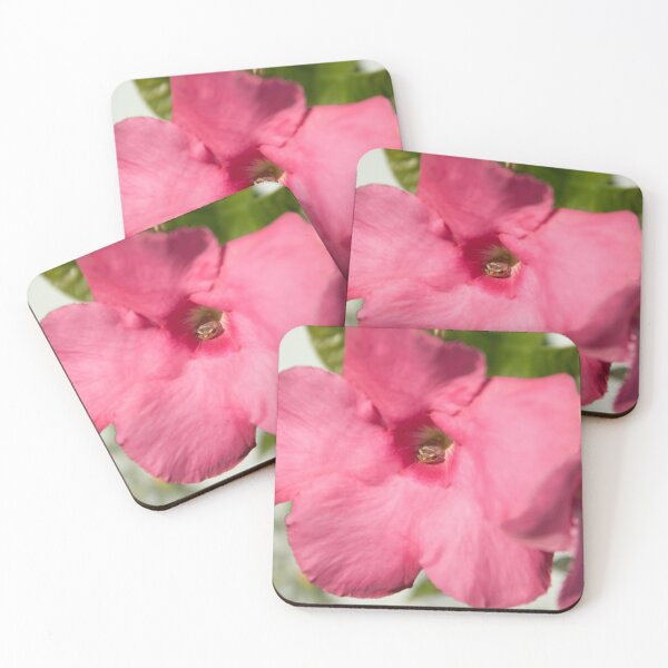 Item preview, Baby Frog Inside The Pink Mandevilla designed and sold by Zina Stromberg.
