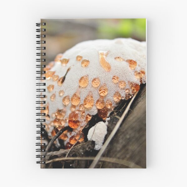 Item preview, Honey in My Pores designed and sold by Kathleen Daley.