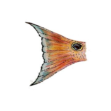 Artwork thumbnail, THE REDFISH TAIL by NINUNO