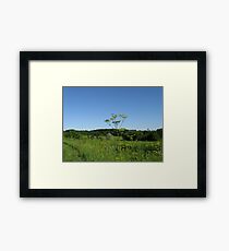 Prairie Framed Print