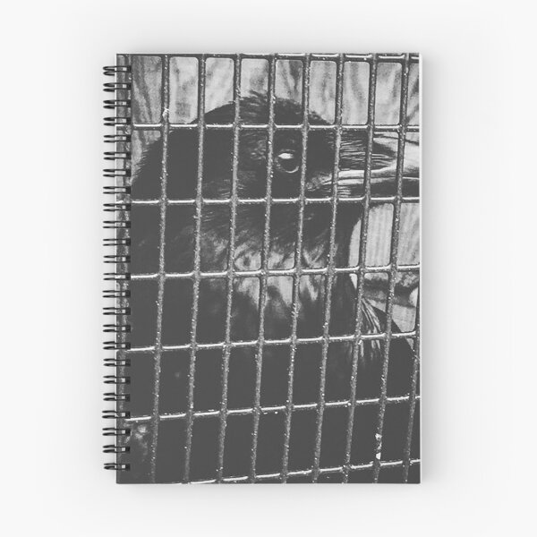 Item preview, Caged Raven designed and sold by laurenrosebud92.