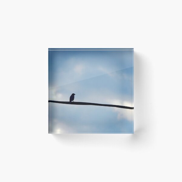 Item preview, Bird on Wire designed and sold by laurenrosebud92.