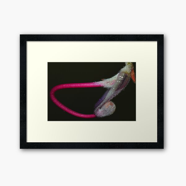 Close encounters Framed Art Print