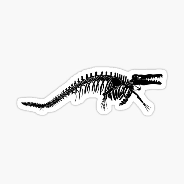 Basilosaurus Gifts & Merchandise | Redbubble