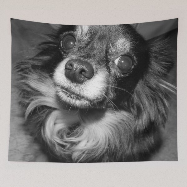 Item preview, Chihuahua Eyes designed and sold by laurenrosebud92.