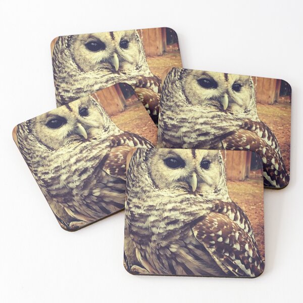 Item preview, Owl  designed and sold by laurenrosebud92.