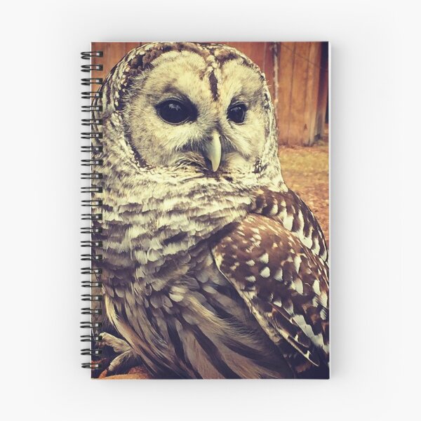 Item preview, Owl  designed and sold by laurenrosebud92.