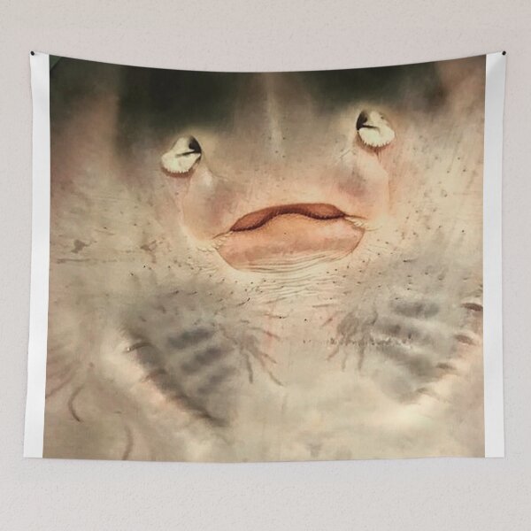 Item preview, Happy Stingray designed and sold by laurenrosebud92.
