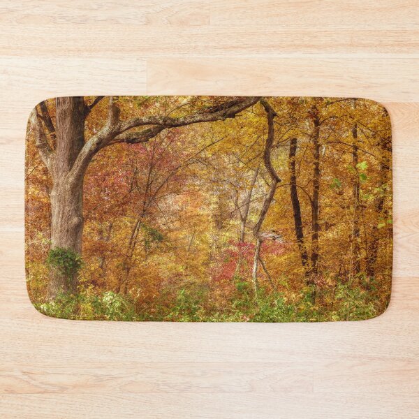 Item preview, Autumn Forest designed and sold by Frankie Cat Photography.