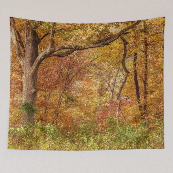 Item preview, Autumn Forest designed and sold by Frankie Cat Photography.
