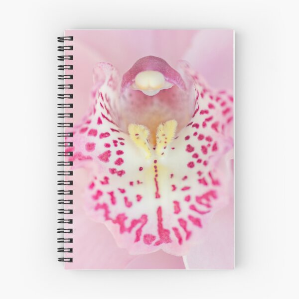 Artikelvorschau, Rosa Orchidee entworfen und verkauft von imagejournal.