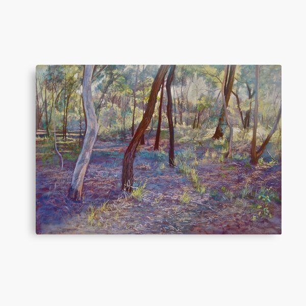 Ironbark Country (No. 3) Canvas Print