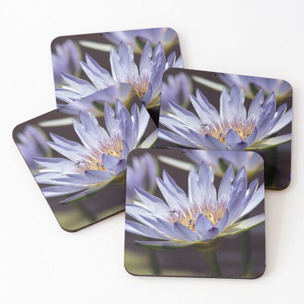 Item preview, © Busy bees....  designed and sold by GeoPipics.