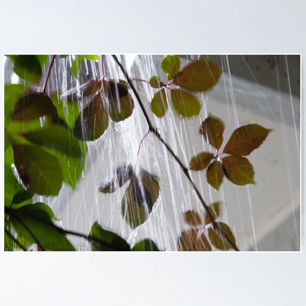 Item preview, Rain, Rain Go Away ... designed and sold by christophm.