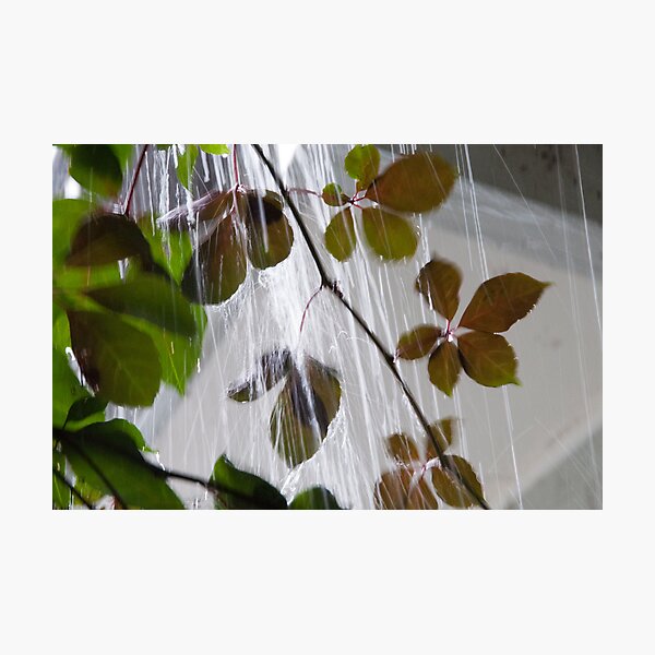Item preview, Rain, Rain Go Away ... designed and sold by christophm.