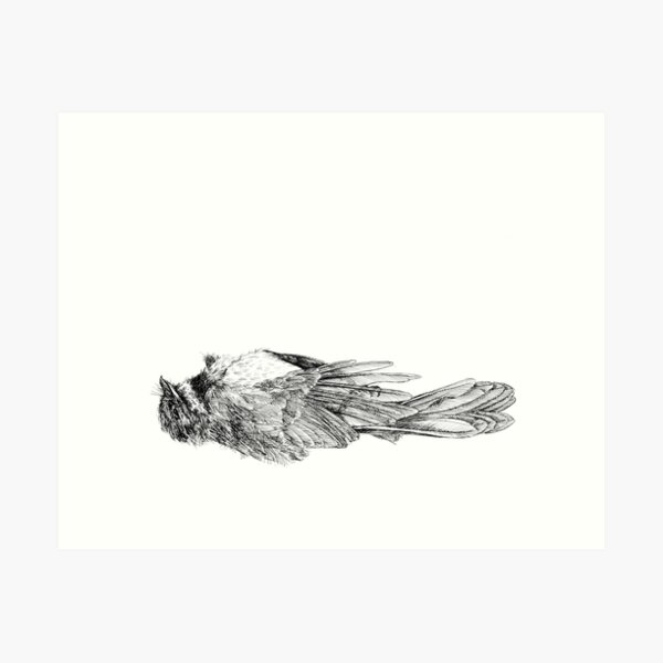 Window 1 - Fantail 0 Art Print