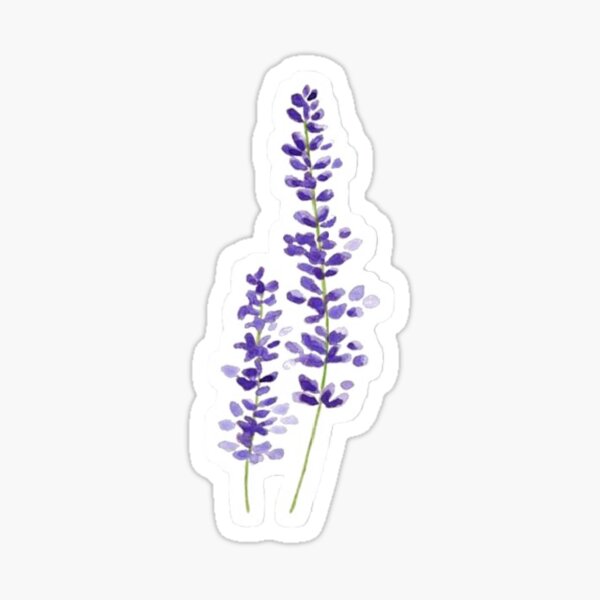 Lavendel-Aquarell Sticker