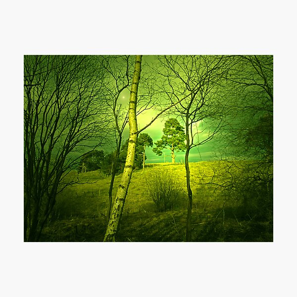 SPRING Photographic Print