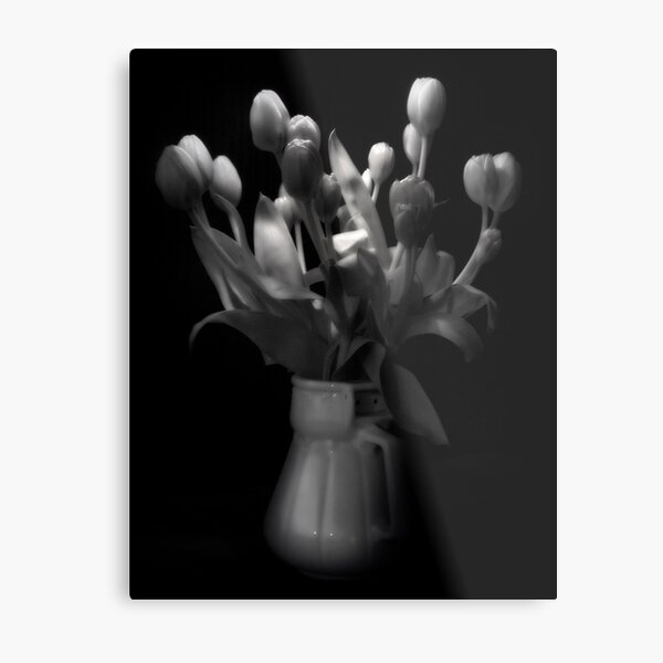 soft as . . . Metal Print