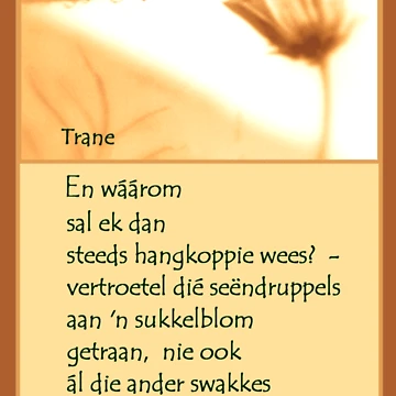 Artwork thumbnail, Trane by Rina Greeff