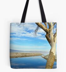 Salton Seascape Tote Bag