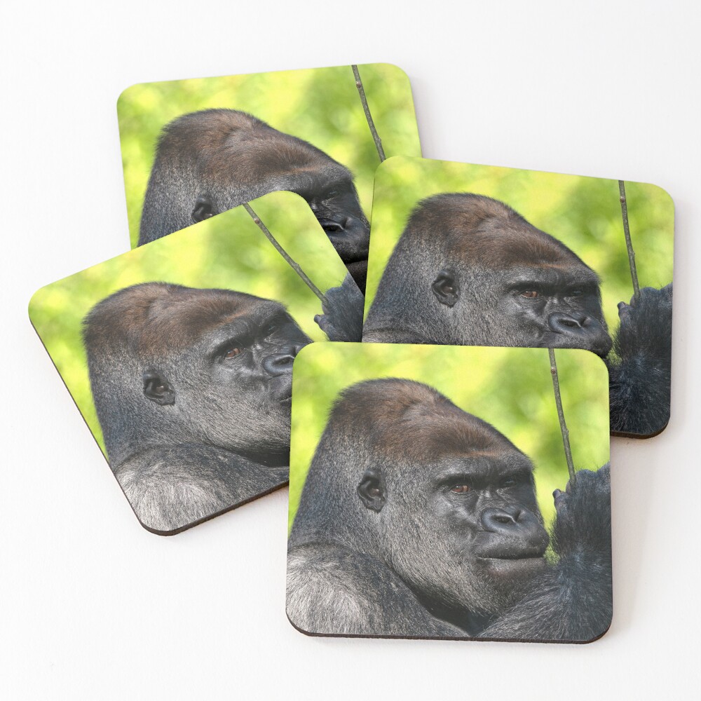 Item preview, Coasters (Set of 4) designed and sold by rawshutterbug.
