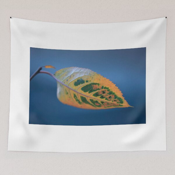 Item preview, colorful autumn leaf changing color designed and sold by olena2552.