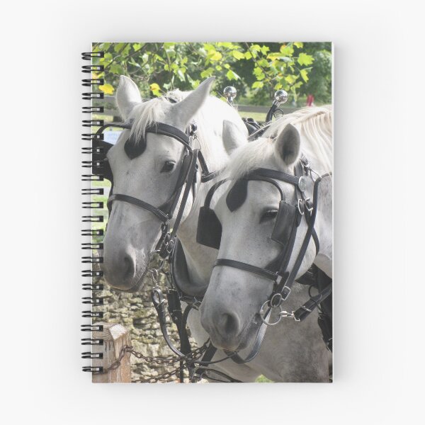 Item preview, Grey pair heavy harness horses designed and sold by Jaycee2009.