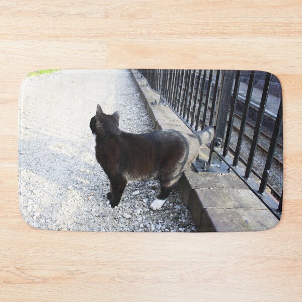 Item preview, Railway Cat Observing  designed and sold by Niina  Niskanen.