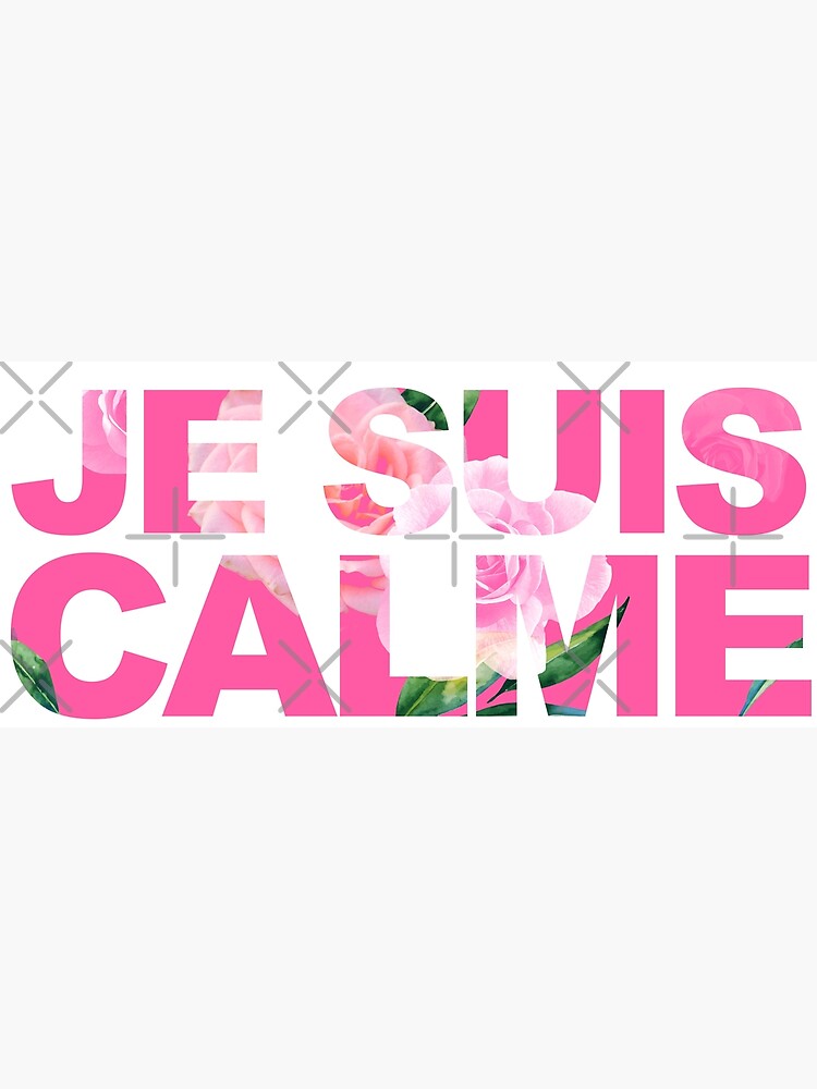 "JE SUIS CALME - TAYLOR SWIFT" Poster by Ray Sánchez | Redbubble