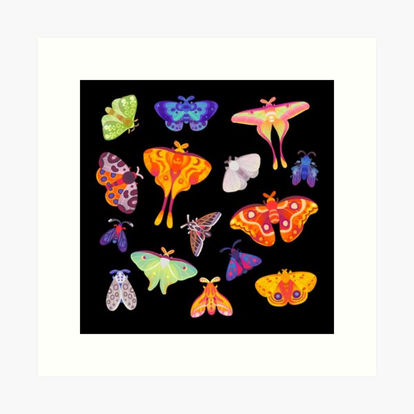 Moth Art Print