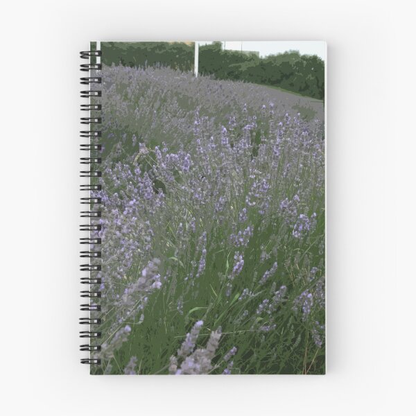 Item preview, Costal Walkway designed and sold by Colin Bentham.