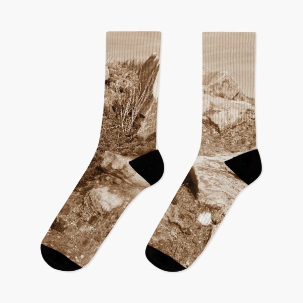 Item preview, Reeds, Rocks and Pebbles - Sepia Palette  designed and sold by Niina  Niskanen.