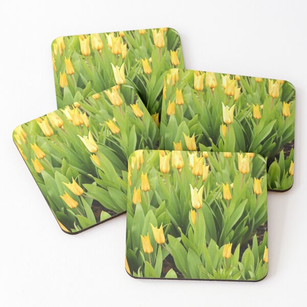 Item preview, Yellow Tulips designed and sold by pinkal.