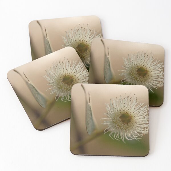 Item preview, Eucalyptus Wattle designed and sold by Sarah McPherson.