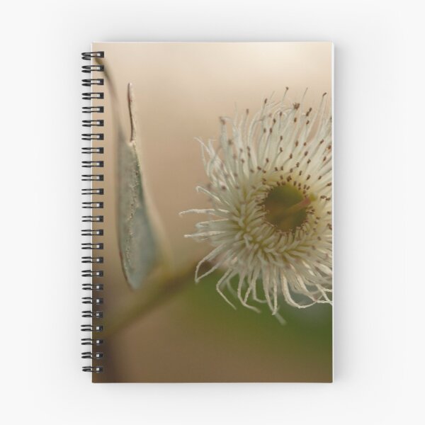 Item preview, Eucalyptus Wattle designed and sold by Sarah McPherson.