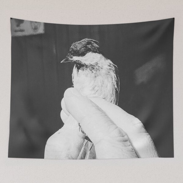 Item preview, Black Capped Chickadee  designed and sold by laurenrosebud92.