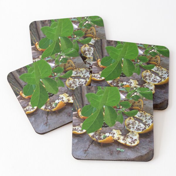 Item preview, Wood Ants designed and sold by AnnDixon.