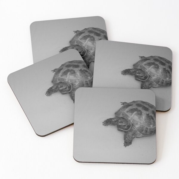 Item preview, Tortoise in the Water designed and sold by laurenrosebud92.