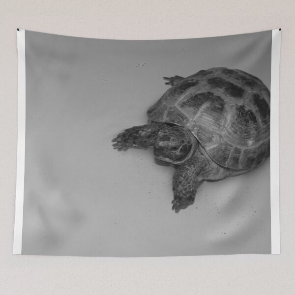 Item preview, Tortoise in the Water designed and sold by laurenrosebud92.