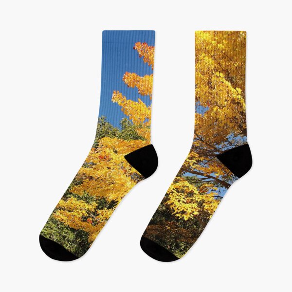 Item preview, MAINE in the Fall designed and sold by AnnDixon.