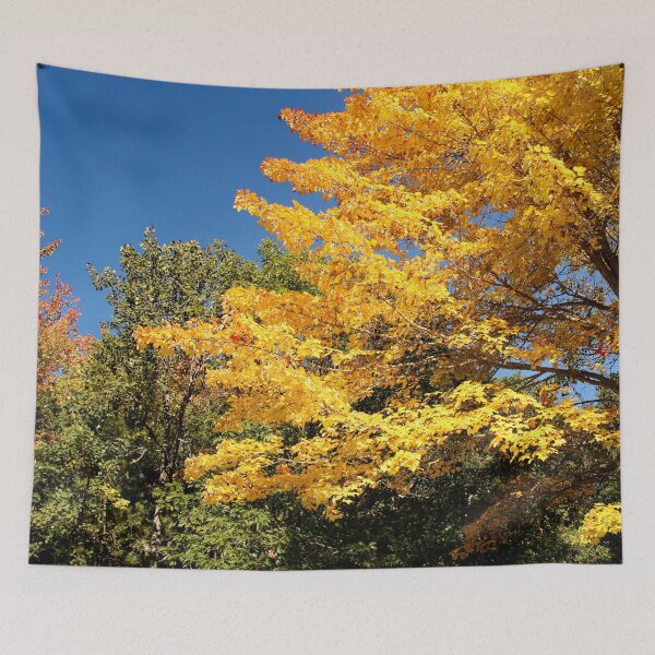 Item preview, MAINE in the Fall designed and sold by AnnDixon.