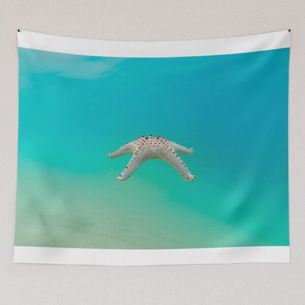 Item preview, Starfish designed and sold by colindavisphoto.
