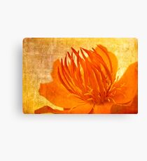 Spicy Canvas Print