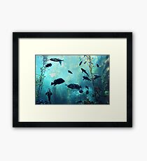 Under The Sea Framed Print