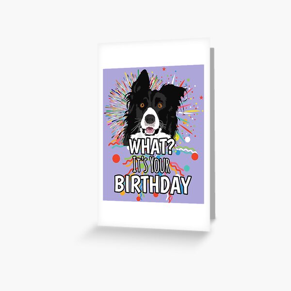 Artikel-Vorschau von Border Collie Was? Konfetti, es ist dein Geburtstag, designt und verkauft von Willyboy16.