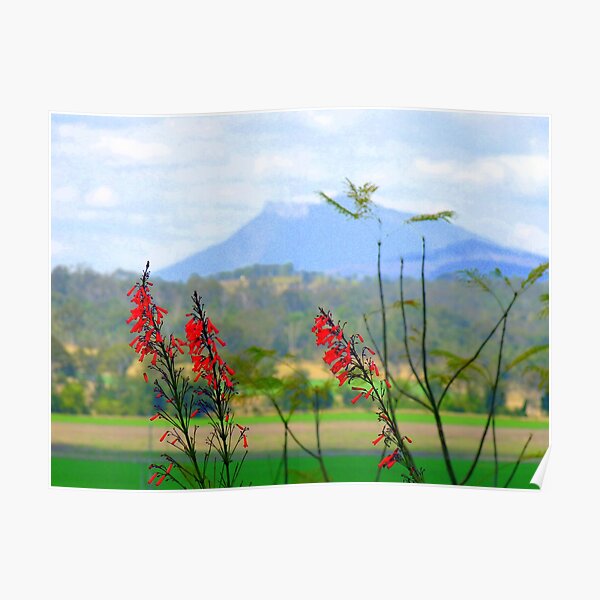 Onion Fields, via Boonah Qld. Poster
