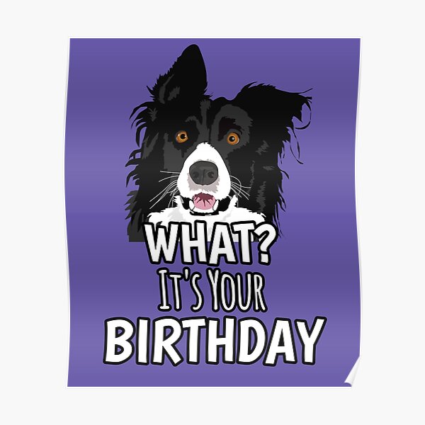 Border Collie What It S Your Birthday Poster By Willyboy16 Redbubble