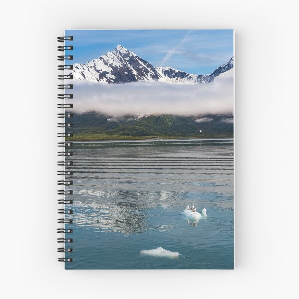 Item preview, Gulls on Ice  designed and sold by AndyKazie.